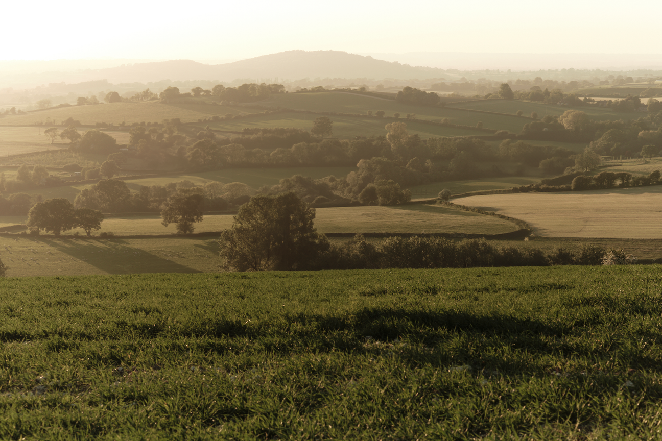 sustainable self care made in somerset