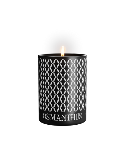 luxury scented candle large candle black candle natural beeswax candles sustainable candles soy wax candle