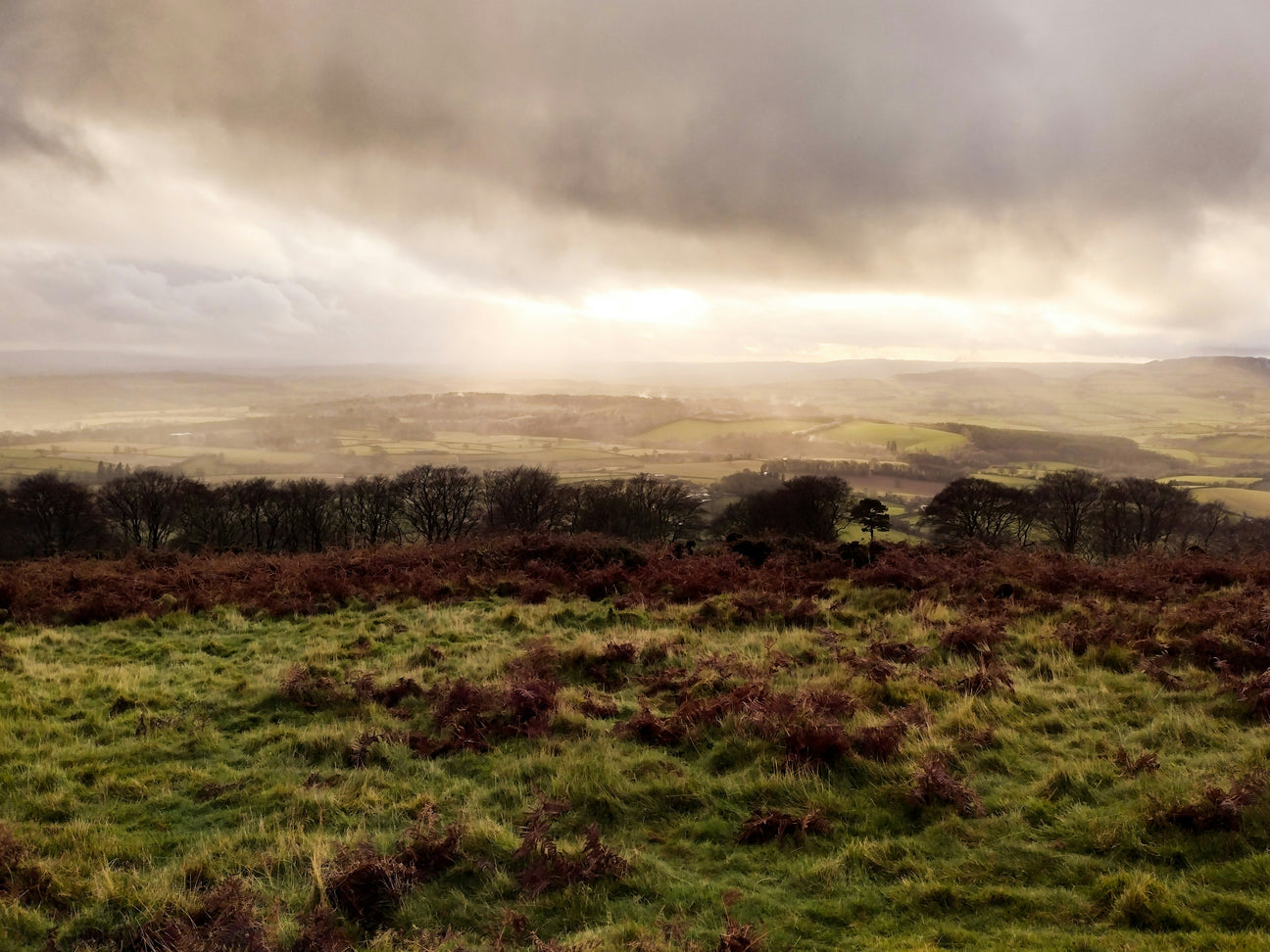 somerset landscape sustainable self care made in somerset