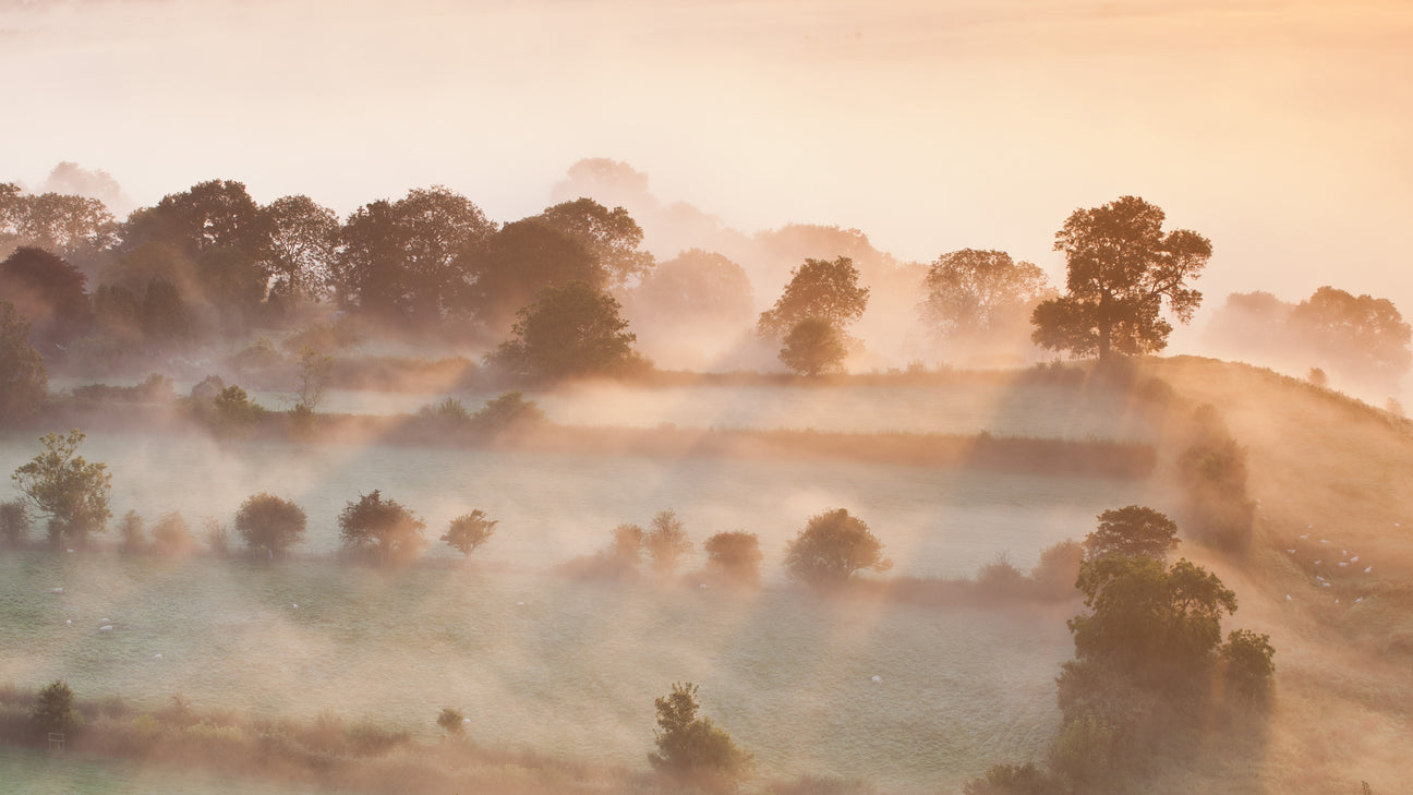 commune sustainable body care made in somerset